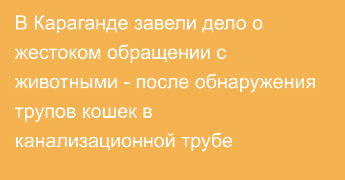 В Караганде завели дело о жестоком обращении с животными - после обнаружения трупов кошек в канализационной трубе