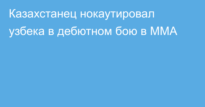 Казахстанец нокаутировал узбека в дебютном бою в ММА