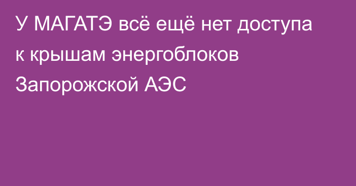 У МАГАТЭ всё ещё нет доступа к крышам энергоблоков Запорожской АЭС