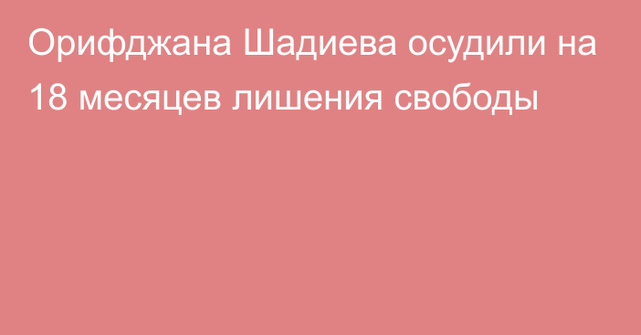 Орифджана Шадиева осудили на 18 месяцев лишения свободы