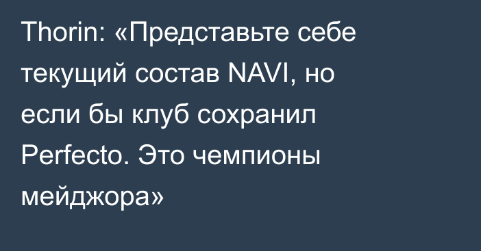 Thorin: «Представьте себе текущий состав NAVI, но если бы клуб сохранил Perfecto. Это чемпионы мейджора»