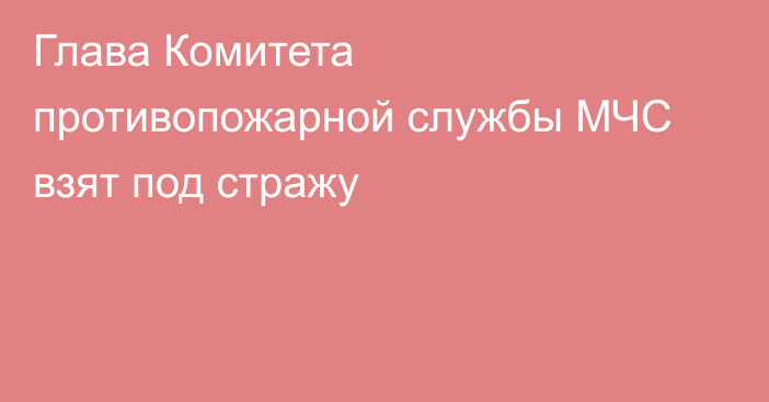 Глава Комитета противопожарной службы МЧС взят под стражу