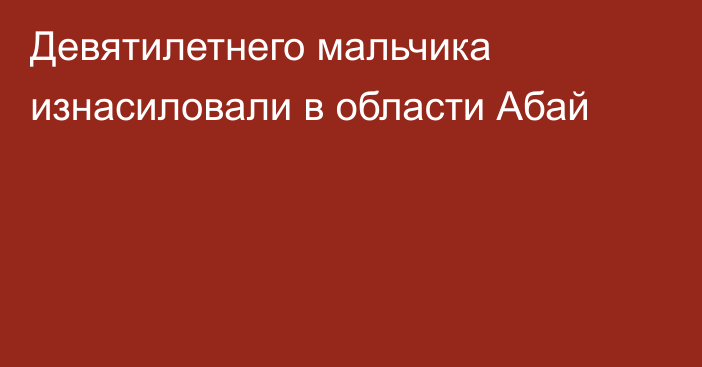 Девятилетнего мальчика изнасиловали в области Абай