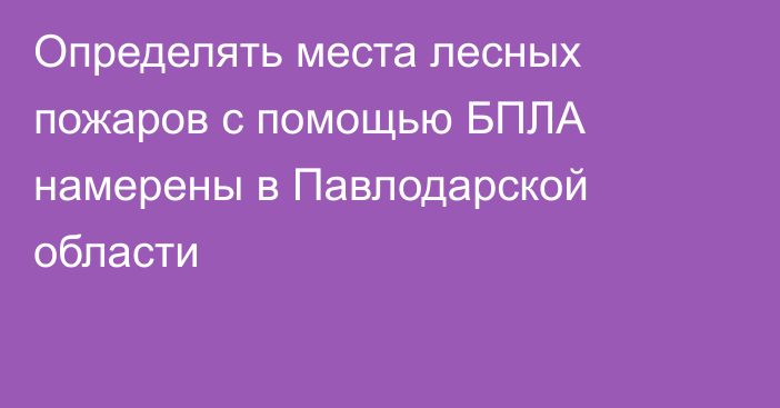 Определять места лесных пожаров с помощью БПЛА намерены в Павлодарской области