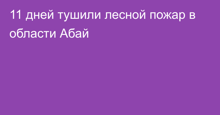 11 дней тушили лесной пожар в области Абай