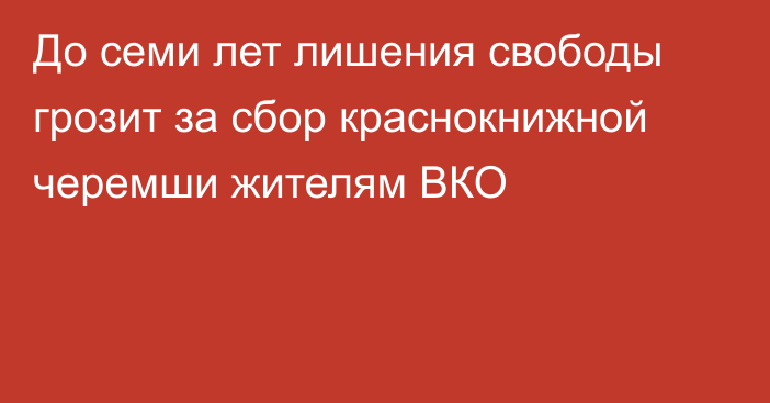 До семи лет лишения свободы грозит за сбор краснокнижной черемши жителям ВКО