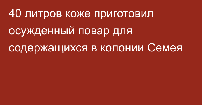 40 литров коже приготовил осужденный повар для содержащихся в колонии Семея