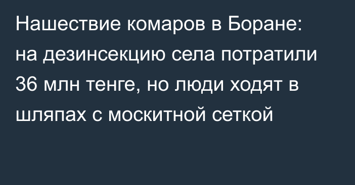 Нашествие комаров в Боране: на дезинсекцию села потратили 36 млн тенге, но люди ходят в шляпах с москитной сеткой