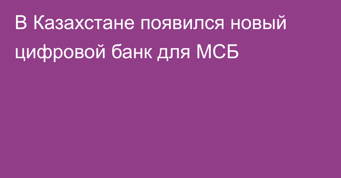 В Казахстане появился новый цифровой банк для МСБ