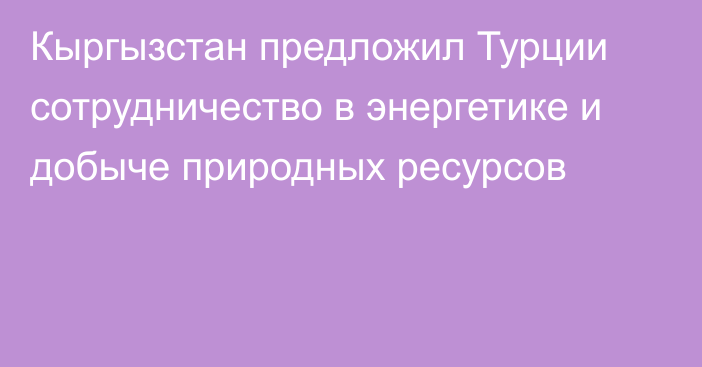 Кыргызстан предложил Турции сотрудничество в энергетике и добыче природных ресурсов