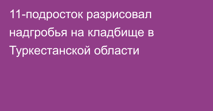 11-подросток разрисовал надгробья на кладбище в Туркестанской области