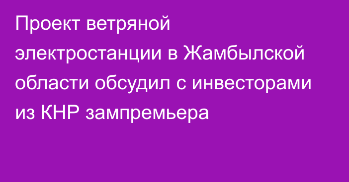 Проект ветряной электростанции в Жамбылской области обсудил с инвесторами из КНР зампремьера