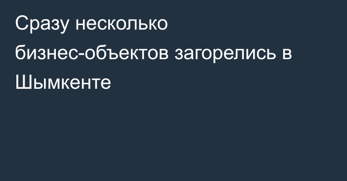 Сразу несколько бизнес-объектов загорелись в Шымкенте