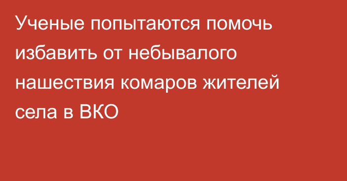 Ученые попытаются помочь избавить от небывалого нашествия комаров жителей села в ВКО