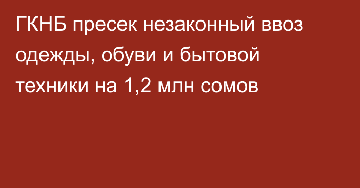 ГКНБ пресек незаконный ввоз одежды, обуви и бытовой техники на 1,2 млн сомов