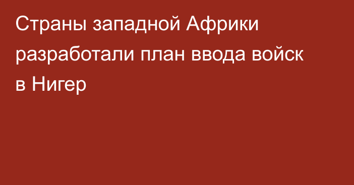 Страны западной Африки разработали план ввода войск в Нигер