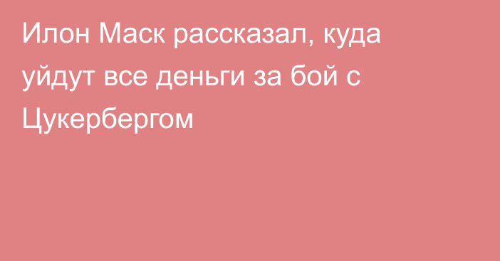 Илон Маск рассказал, куда уйдут все деньги за бой с Цукербергом