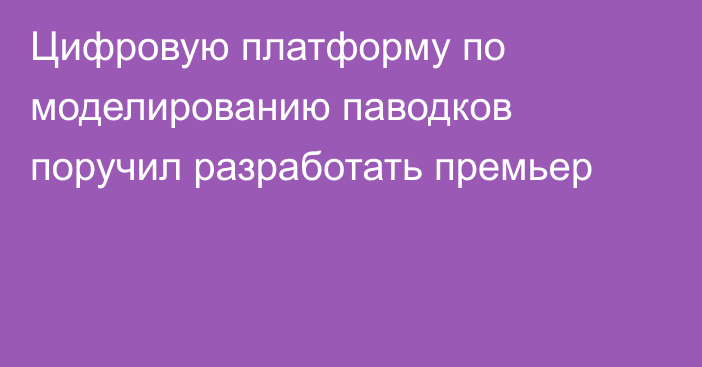 Цифровую платформу по моделированию паводков поручил разработать премьер