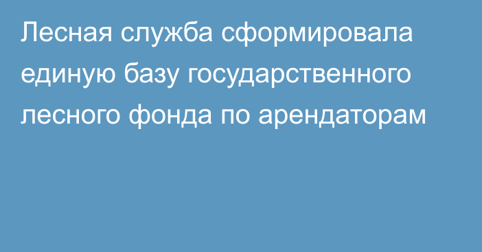 Лесная служба сформировала единую базу государственного лесного фонда по арендаторам