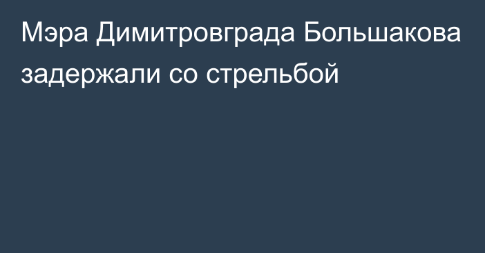 Мэра Димитровграда Большакова задержали со стрельбой