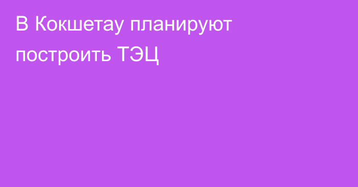 В Кокшетау планируют построить ТЭЦ