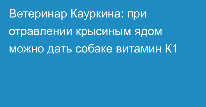 Ветеринар Кауркина: при отравлении крысиным ядом можно дать собаке витамин К1