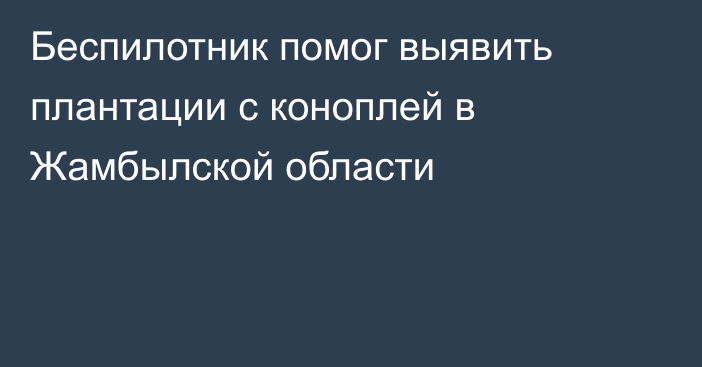 Беспилотник помог выявить плантации с коноплей в Жамбылской области