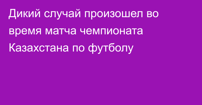 Дикий случай произошел во время матча чемпионата Казахстана по футболу