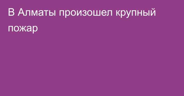 В Алматы произошел крупный пожар