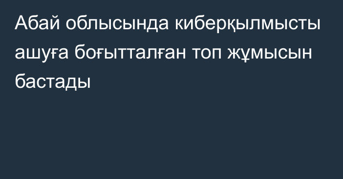 Абай облысында киберқылмысты ашуға боғытталған топ жұмысын бастады