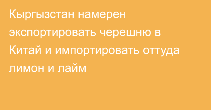 Кыргызстан намерен экспортировать черешню в Китай и импортировать оттуда лимон и лайм