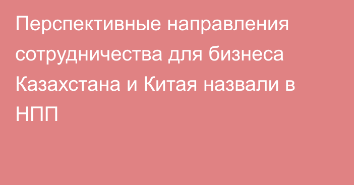 Перспективные направления сотрудничества для бизнеса Казахстана и Китая назвали в НПП