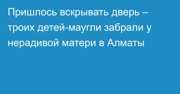 Пришлось вскрывать дверь – троих детей-маугли забрали у нерадивой матери в Алматы