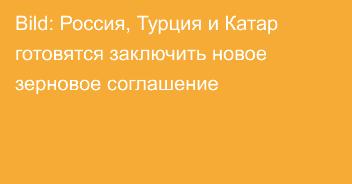 Bild: Россия, Турция и Катар готовятся заключить новое зерновое соглашение