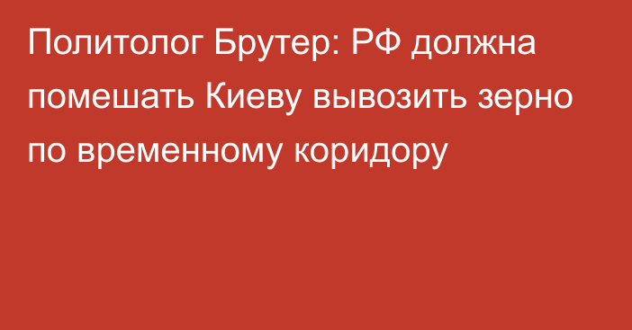 Политолог Брутер: РФ должна помешать Киеву вывозить зерно по временному коридору