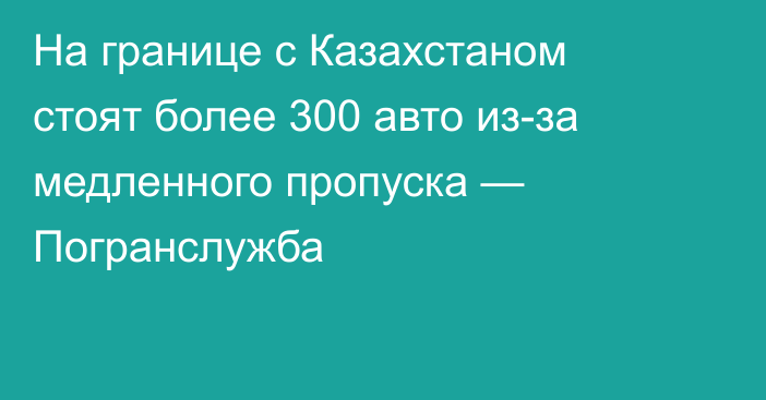 На границе с Казахстаном стоят более 300 авто из-за медленного пропуска — Погранслужба