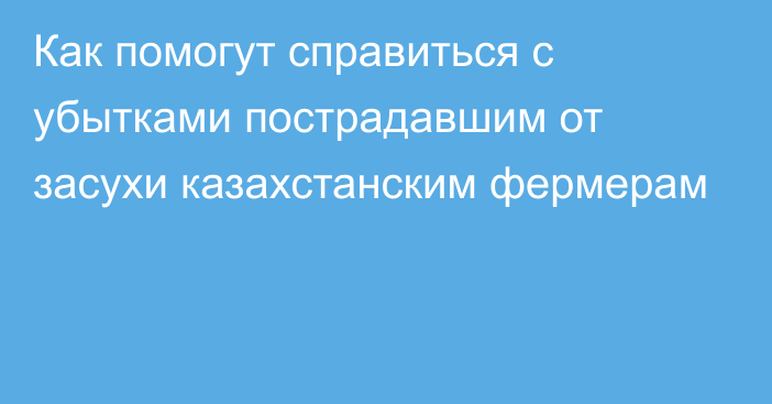 Как помогут справиться с убытками пострадавшим от засухи казахстанским фермерам