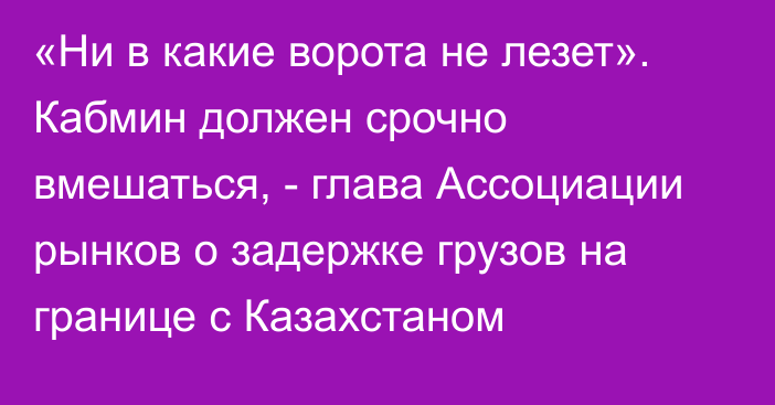 «Ни в какие ворота не лезет». Кабмин должен срочно вмешаться, - глава Ассоциации рынков о задержке грузов на границе с Казахстаном