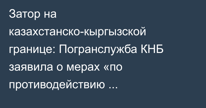 Затор на казахстанско-кыргызской границе: Погранслужба КНБ заявила о мерах «по противодействию противоправной деятельности»