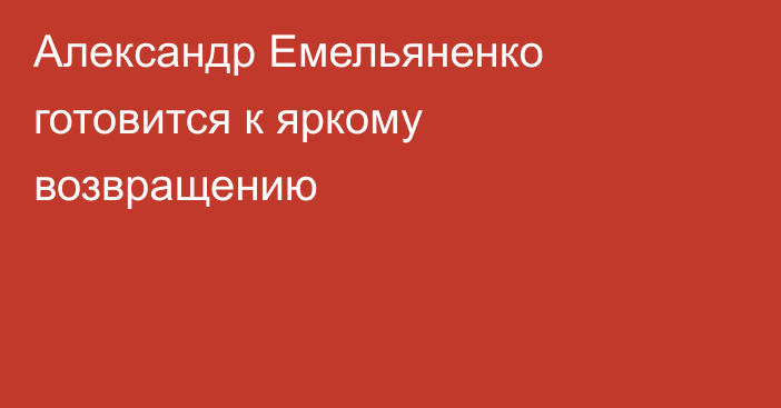 Александр Емельяненко готовится к яркому возвращению