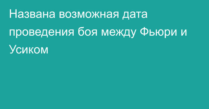 Названа возможная дата проведения боя между Фьюри и Усиком