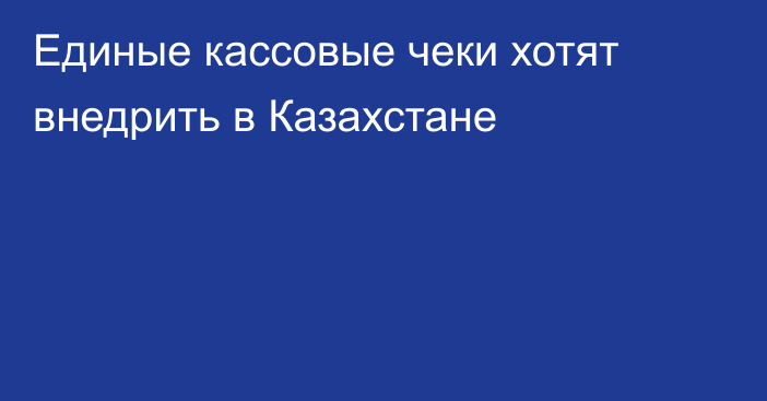 Единые кассовые чеки хотят внедрить в Казахстане