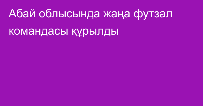 Абай облысында жаңа футзал командасы құрылды