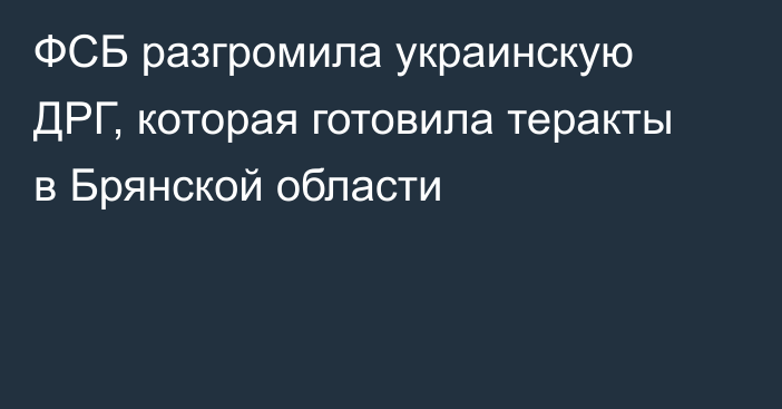 ФСБ разгромила украинскую ДРГ, которая готовила теракты в Брянской области