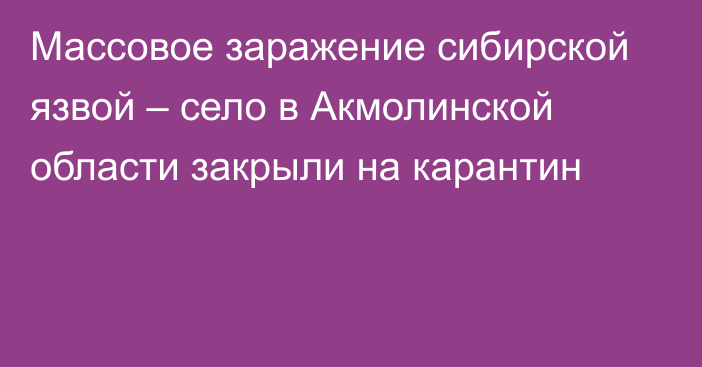 Массовое заражение сибирской язвой – село в Акмолинской области закрыли на карантин