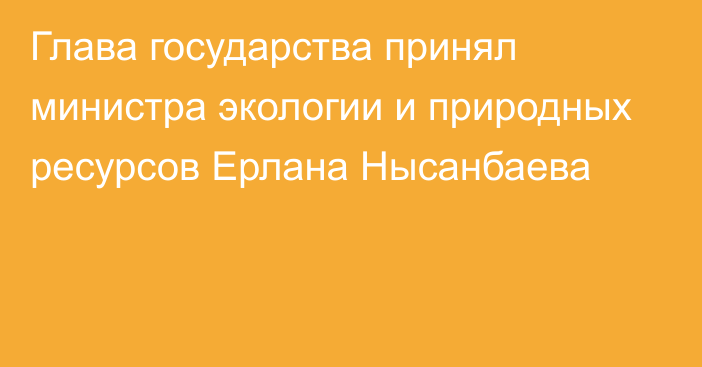 Глава государства принял министра экологии и природных ресурсов Ерлана Нысанбаева