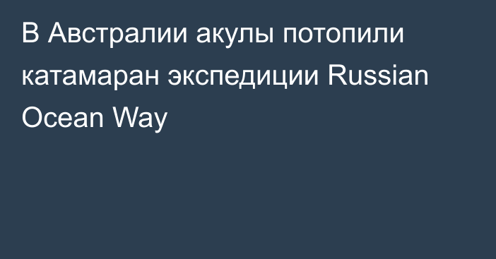 В Австралии акулы потопили катамаран экспедиции Russian Ocean Way