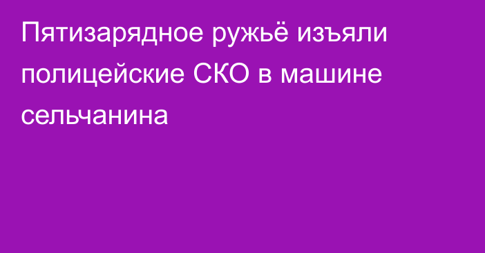 Пятизарядное ружьё изъяли полицейские СКО в машине сельчанина