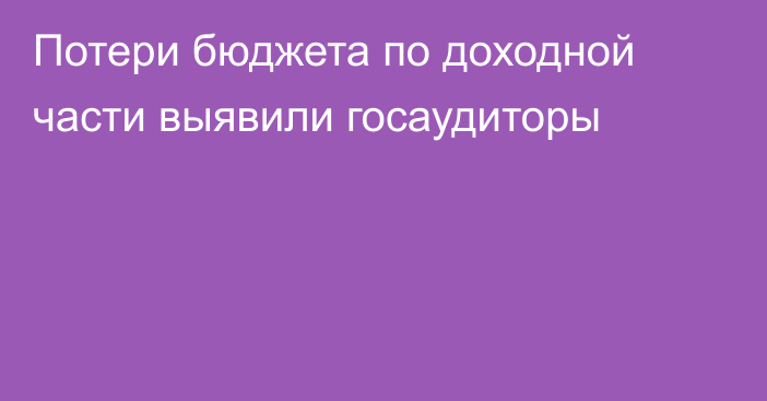 Потери бюджета по доходной части выявили госаудиторы