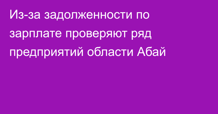 Из-за задолженности по зарплате проверяют ряд предприятий области Абай